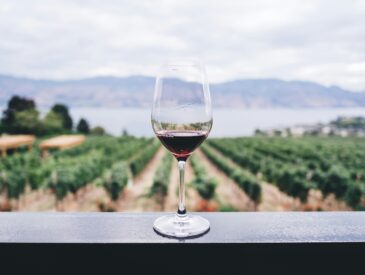 wine tasting for beginners in Temecula, CA.